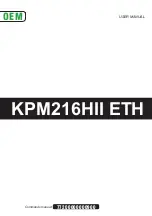 Предварительный просмотр 1 страницы Custom Audio Electronics KPM216HII-ETH User Manual