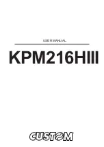 Custom Audio Electronics KPM216HIII User Manual preview