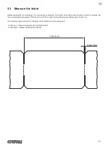 Preview for 33 page of Custom Audio Electronics PP54 EVO User Manual