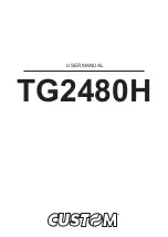 Предварительный просмотр 1 страницы Custom Audio Electronics tg2480h User Manual