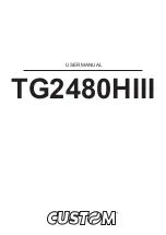 Предварительный просмотр 1 страницы Custom Audio Electronics TG2480HIII User Manual