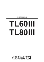 Custom Audio Electronics TL60III User Manual предпросмотр