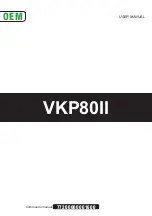 Custom Audio Electronics VKP80II User Manual предпросмотр