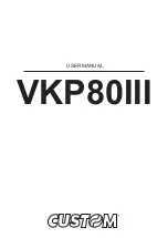 Preview for 1 page of Custom Audio Electronics VKP80III User Manual