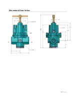 Preview for 4 page of CVS Controls P37 Instruction Manual