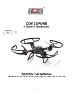 CX Model CX010 Instruction Manual preview
