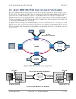 Preview for 167 page of Cyan L-AMP Engineering And Planning Manual