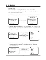 Preview for 20 page of Cyber Controller Instruction Manual