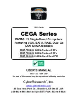 CyberResearch CEGA PD-24-X User Manual предпросмотр