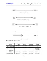 Preview for 10 page of Cybertek DP6065 Instruction Manual