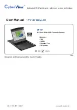 CyberView DF117 User Manual preview