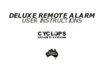 Preview for 1 page of CYCLOPS PARALYSER 385 User Instruction