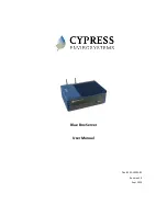 Preview for 1 page of Cypress Blue Box Server User Manual