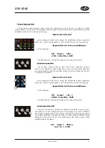 Preview for 17 page of D.A.S. DSP-2040 User Manual