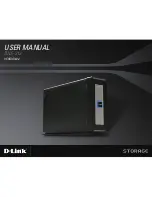 D-Link DNS-313 User Manual preview