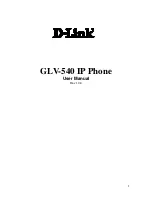 D-Link GLV-540 User Manual preview