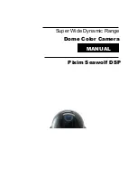 D-MAX Pixim Seawolf DSP Manual предпросмотр