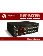 D16 Group REPEATER VINTAGE MODELLED DELAY User Manual предпросмотр