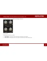 Предварительный просмотр 17 страницы D16 Group REPEATER VINTAGE MODELLED DELAY User Manual