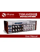 D16 Group TORAVERB2 User Manual предпросмотр