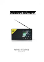 DAB DAB-PC1 Instruction Manual preview