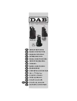 Предварительный просмотр 1 страницы DAB DIVER 6 Instruction Manual