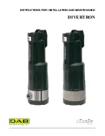 DAB DIVERTRON 1000 Instruction For Installation And Maintenance предпросмотр