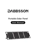 DABBSSON DBS105S User Manual предпросмотр