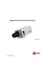 Dahua IPC-HF3200 Series User Manual предпросмотр