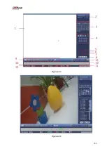 Предварительный просмотр 220 страницы Dahua NVR21-S2 SERIES User Manual