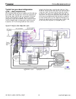 Предварительный просмотр 52 страницы Daikin Enfinity Installation And Maintenance Manual