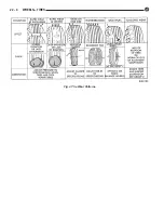 Предварительный просмотр 1044 страницы DaimlerChrysler LH New Yorker 1994 Electronic Service Manual