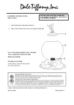 Dale Tiffany 0047 Assembly Instructions preview