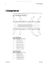 Предварительный просмотр 12 страницы Dalsa Piranha 3 P3-80-08k40-00-R User Manual