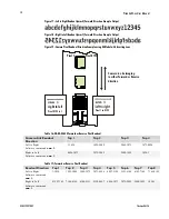 Предварительный просмотр 50 страницы Dalsa Piranha ES Series User Manual