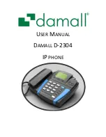 Damall D-2304 User Manual preview