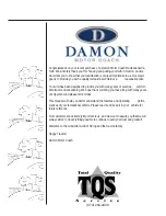 Preview for 2 page of Damon Astoria 2006 Owner'S Manual