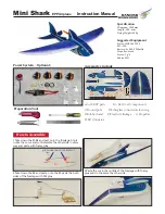 Dancing Wings Hobby Mini Shark Instruction Manual preview