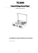 DANFI AUDIO TE-2030 Instruction Manual preview