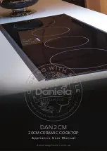 Daniela DAN2CM User Manual preview