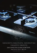 Daniela DAN64GTG User Manual preview