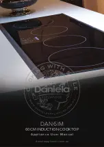 Daniela DAN6IM User Manual preview