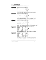 Предварительный просмотр 11 страницы Danmeter CSM 2 User Manual