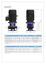 Preview for 4 page of DanPumps S-IP Installation Manual