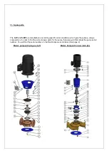 Preview for 9 page of DanPumps S-IP Installation Manual