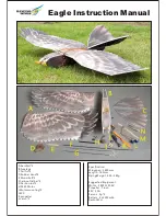 Предварительный просмотр 1 страницы Dansing Wings Eagle Instruction Manual