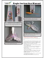 Предварительный просмотр 4 страницы Dansing Wings Eagle Instruction Manual