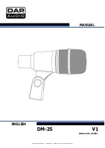 DAPAudio D1333 Manual preview