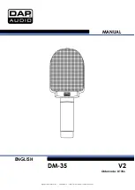 DAPAudio D1356 Manual preview