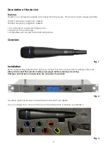 Предварительный просмотр 6 страницы DAPAudio D143173 Product Manual